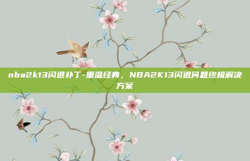 nba2k13闪退补丁-重温经典,NBA2K13闪退问题终极解决方案
