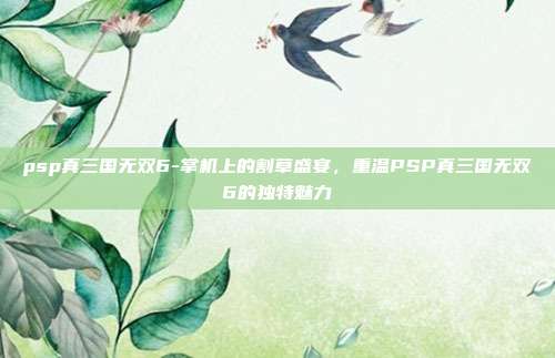 psp真三国无双6-掌机上的割草盛宴,重温PSP真三国无双6的独特魅力