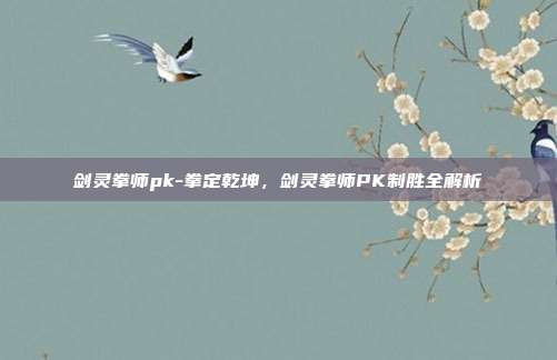 剑灵拳师pk-拳定乾坤,剑灵拳师PK制胜全解析