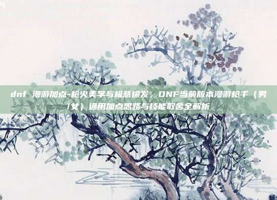 dnf 漫游加点-枪火美学与极意爆发,DNF当前版本漫游枪手(男/女)通用加点思路与技能取舍全解析