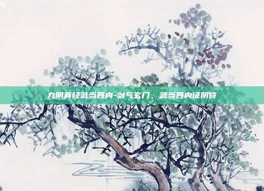 九阴真经武当四内-剑气玄门,武当四内证阴符
