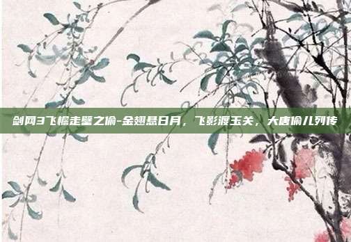 剑网3飞檐走壁之偷-金翅悬日月,飞影渡玉关,大唐偷儿列传