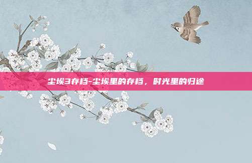 尘埃3存档-尘埃里的存档,时光里的归途