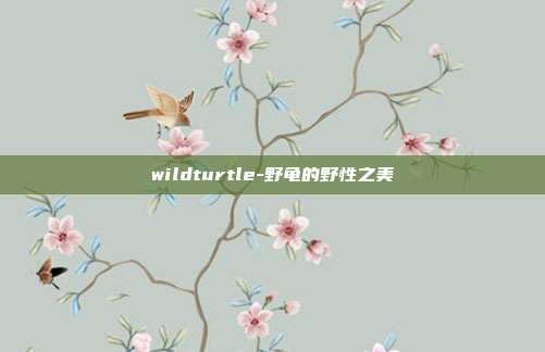 wildturtle-野龟的野性之美