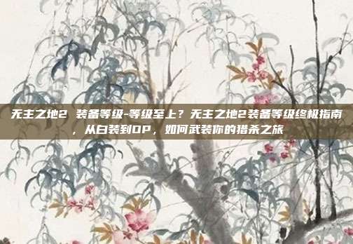无主之地2 装备等级-等级至上？无主之地2装备等级终极指南，从白装到OP，如何武装你的猎杀之旅
