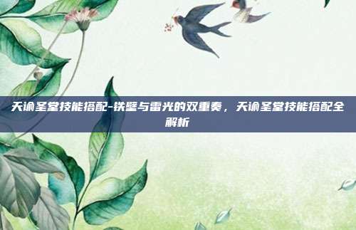 天谕圣堂技能搭配-铁壁与雷光的双重奏，天谕圣堂技能搭配全解析
