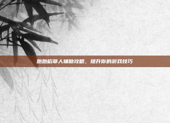 跑跑稻草人辅助攻略,提升你的游戏技巧