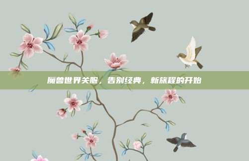 魔兽世界关服，告别经典，新旅程的开始