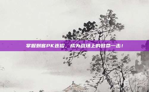 掌握刺客PK连招，成为战场上的致命一击！