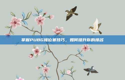 掌握PUBG排位赛技巧，如何提升你的排名