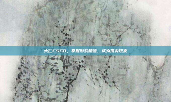 大仁CSGO，掌握游戏精髓，成为顶尖玩家