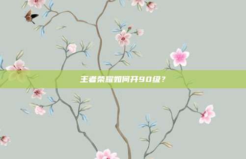 王者荣耀如何开90级？