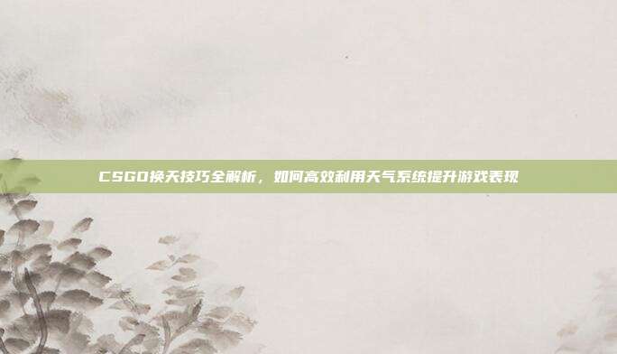 CSGO换天技巧全解析，如何高效利用天气系统提升游戏表现
