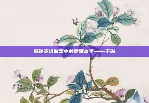 揭秘英雄联盟中的隐藏高手——王琳