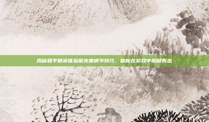 揭秘和平精英体验服亮度调节技巧，助你在游戏中脱颖而出