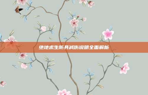 绝地求生防具减伤说明全面解析