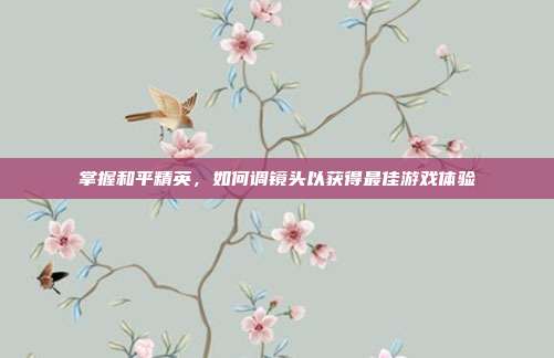 掌握和平精英，如何调镜头以获得最佳游戏体验
