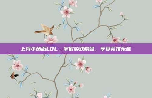 上海小场面LOL，掌握游戏精髓，享受竞技乐趣