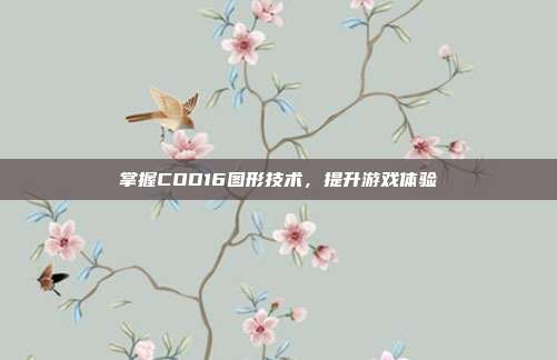 掌握COD16图形技术，提升游戏体验