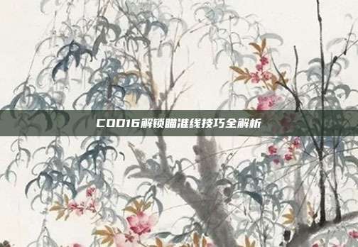 COD16解锁瞄准线技巧全解析