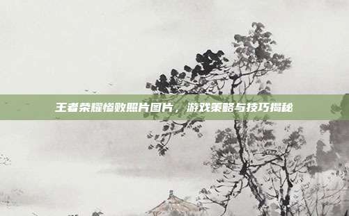 王者荣耀惨败照片图片，游戏策略与技巧揭秘