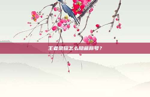 王者荣耀怎么隐藏称号？