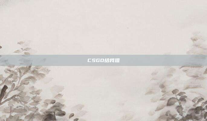 CSGO给我狙