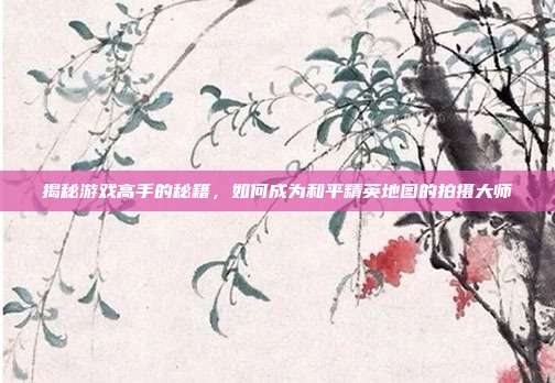 揭秘游戏高手的秘籍，如何成为和平精英地图的拍摄大师