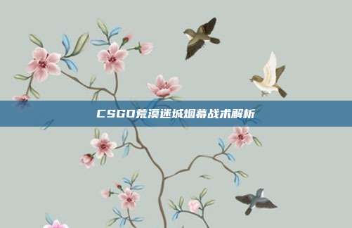 CSGO荒漠迷城烟幕战术解析