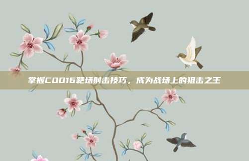 掌握COD16靶场射击技巧，成为战场上的狙击之王