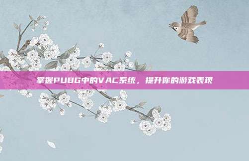 掌握PUBG中的VAC系统，提升你的游戏表现