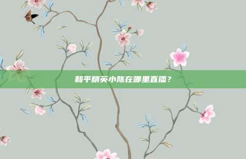 和平精英小陈在哪里直播？