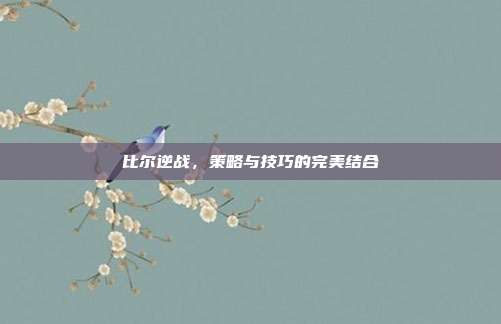 比尔逆战，策略与技巧的完美结合