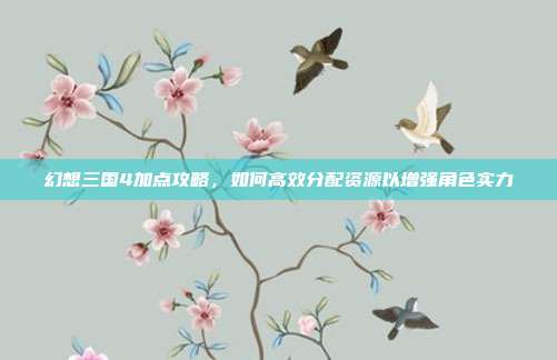 幻想三国4加点攻略，如何高效分配资源以增强角色实力