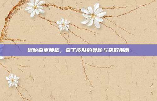 揭秘皇室荣耀，皇子皮肤的奥秘与获取指南