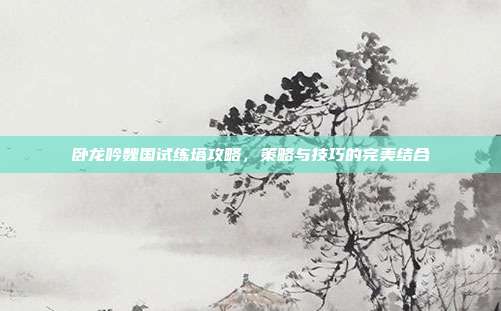 卧龙吟魏国试练塔攻略，策略与技巧的完美结合