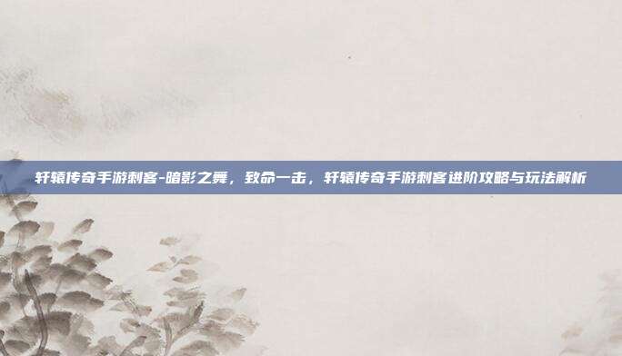 轩辕传奇手游刺客-暗影之舞，致命一击，轩辕传奇手游刺客进阶攻略与玩法解析