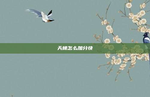 天梯怎么加分快