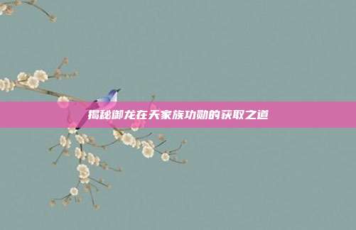 揭秘御龙在天家族功勋的获取之道