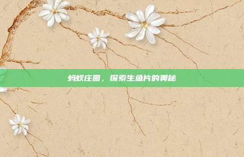 蚂蚁庄园，探索生鱼片的奥秘