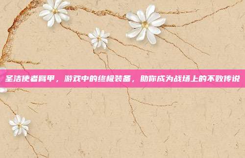 圣洁使者臂甲，游戏中的终极装备，助你成为战场上的不败传说