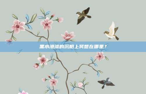 黑水港湾的沉船上冥想在哪里？