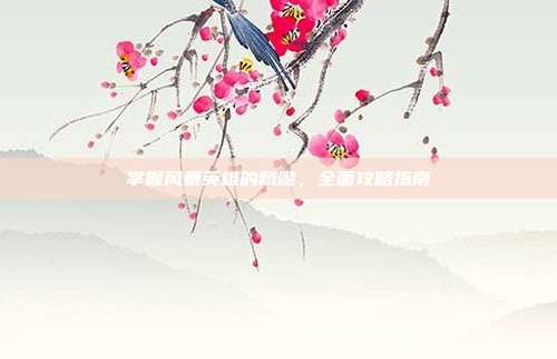 掌握风暴英雄的精髓，全面攻略指南