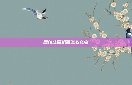 摩尔庄园机器怎么充电