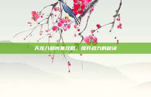 天龙八部肉集攻略，提升战力的秘诀