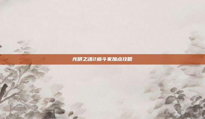 光明之魂2格斗家加点攻略
