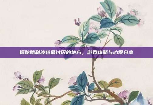 揭秘哈利波特最讨厌的地方，游戏攻略与心得分享