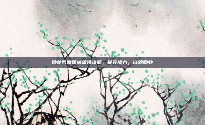 卧龙吟魏国威望将攻略，提升战力，成就霸业
