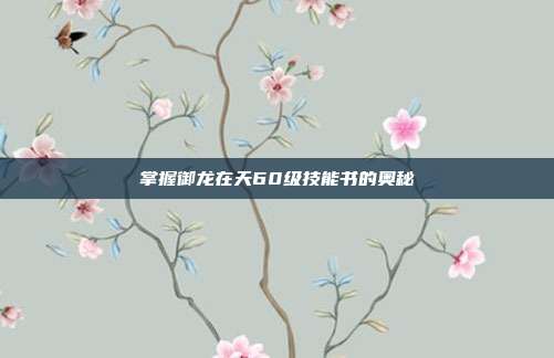掌握御龙在天60级技能书的奥秘