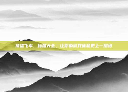 侠盗飞车，秘籍大全，让你的游戏体验更上一层楼